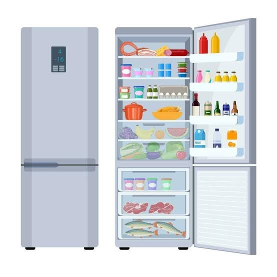 Bottom Mounted Freezer
