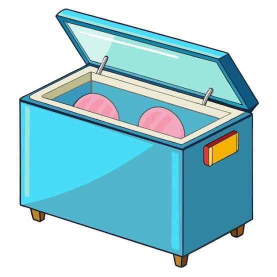 Commercial / Chest Freezers